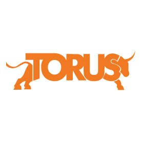 torus.png